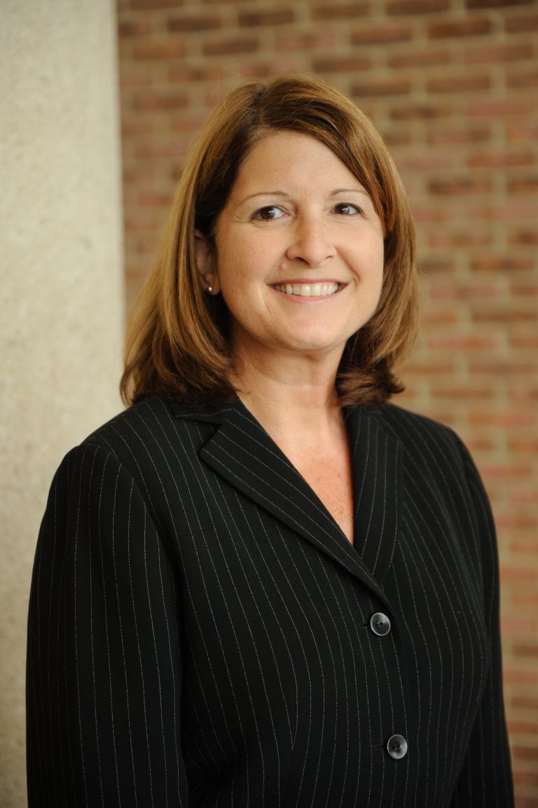 University of arizona honors thesis database image