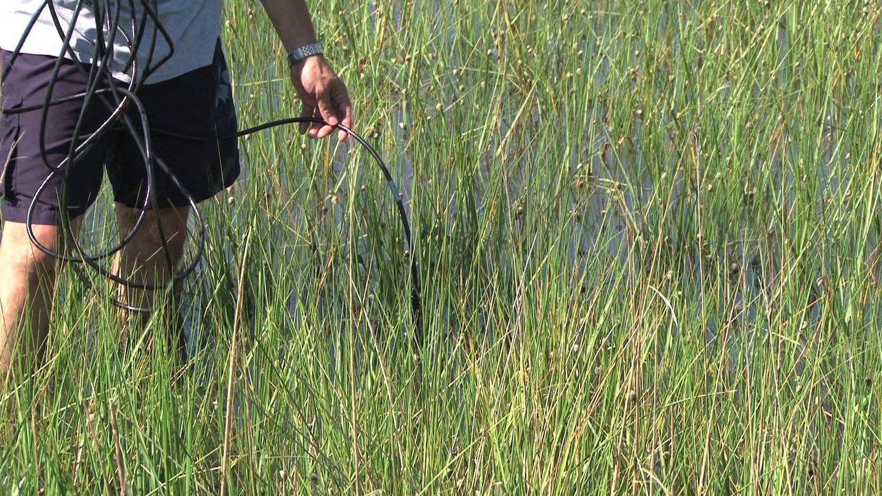 Researching the Oil Spill in the Gulf