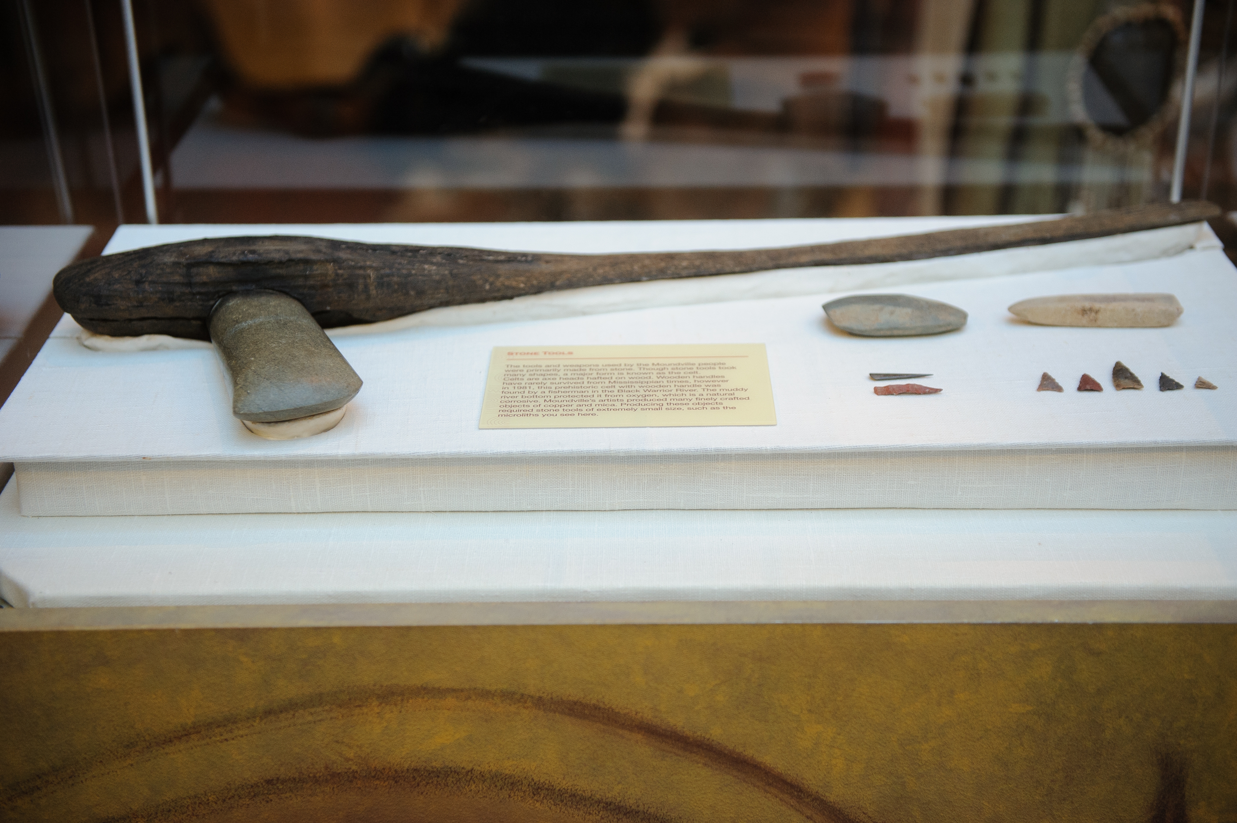 UA Museums’ Collections Spotlight: Stone Axe