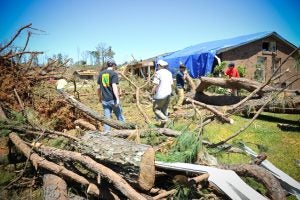 Debris from felled trees sits in the foreground with people working to remove them from around a home with a blue tarp on the roof.