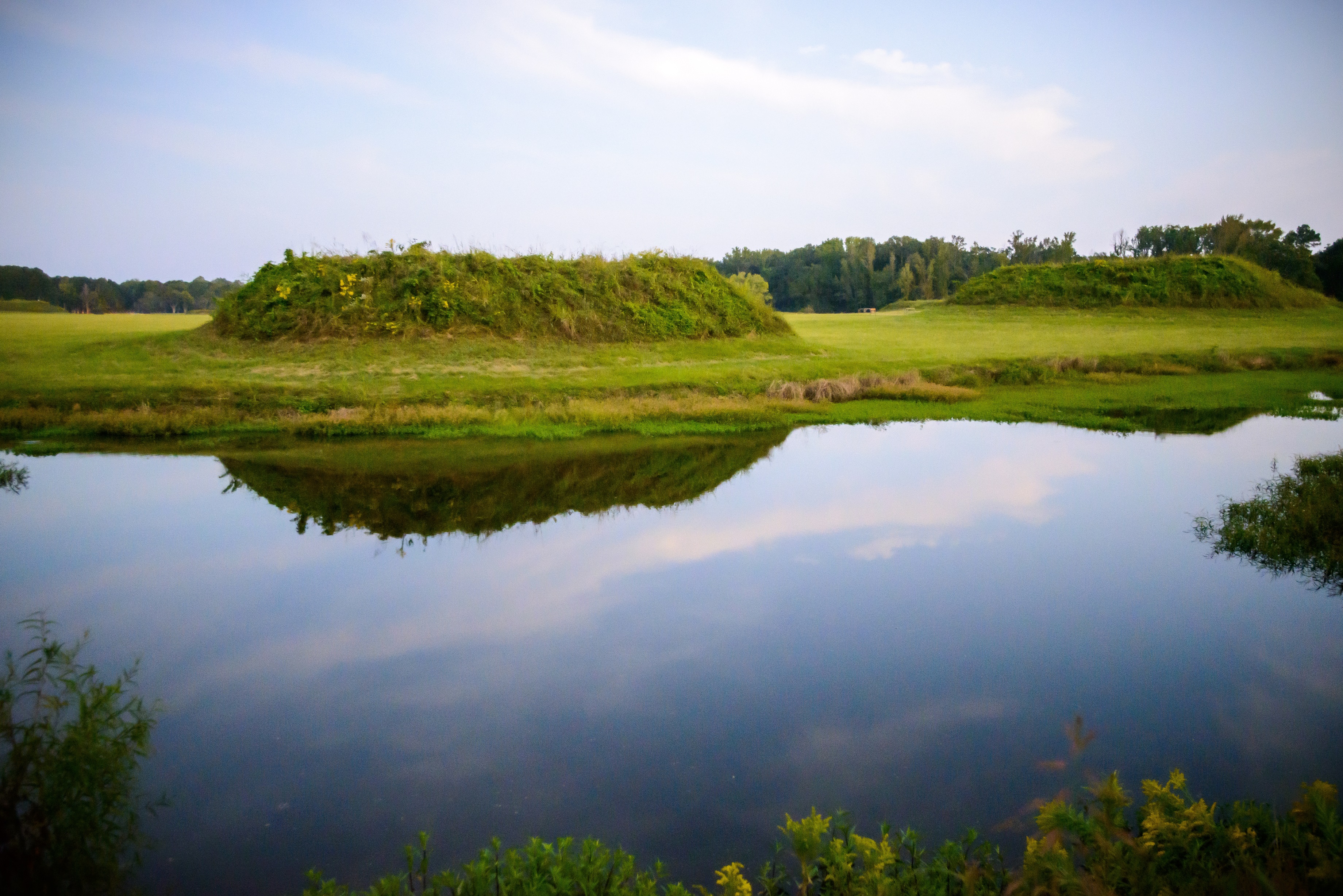Mounds at the Moundville Archaeological Park