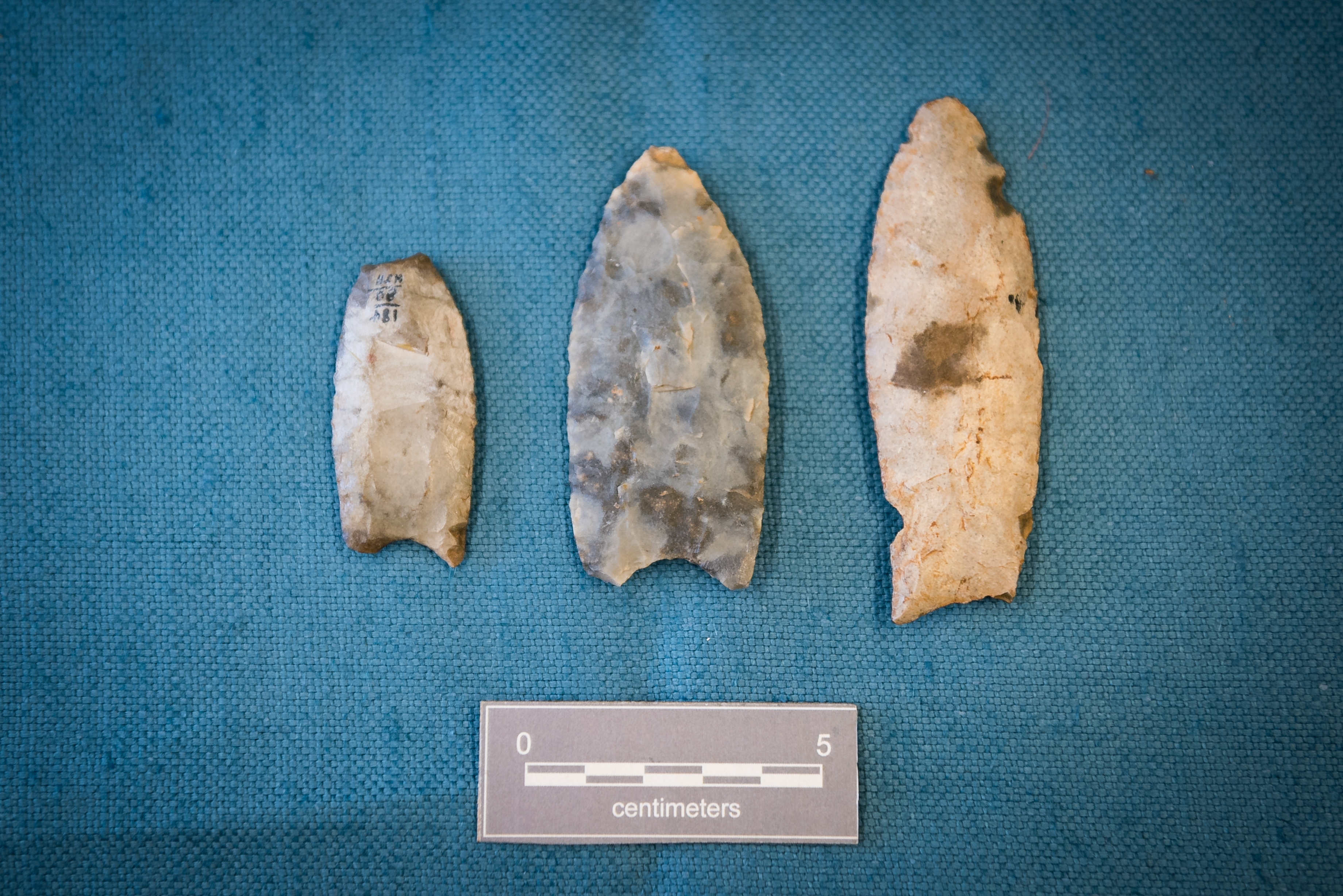 Museums’ Collections Spotlight: Clovis-Type Projectile Points