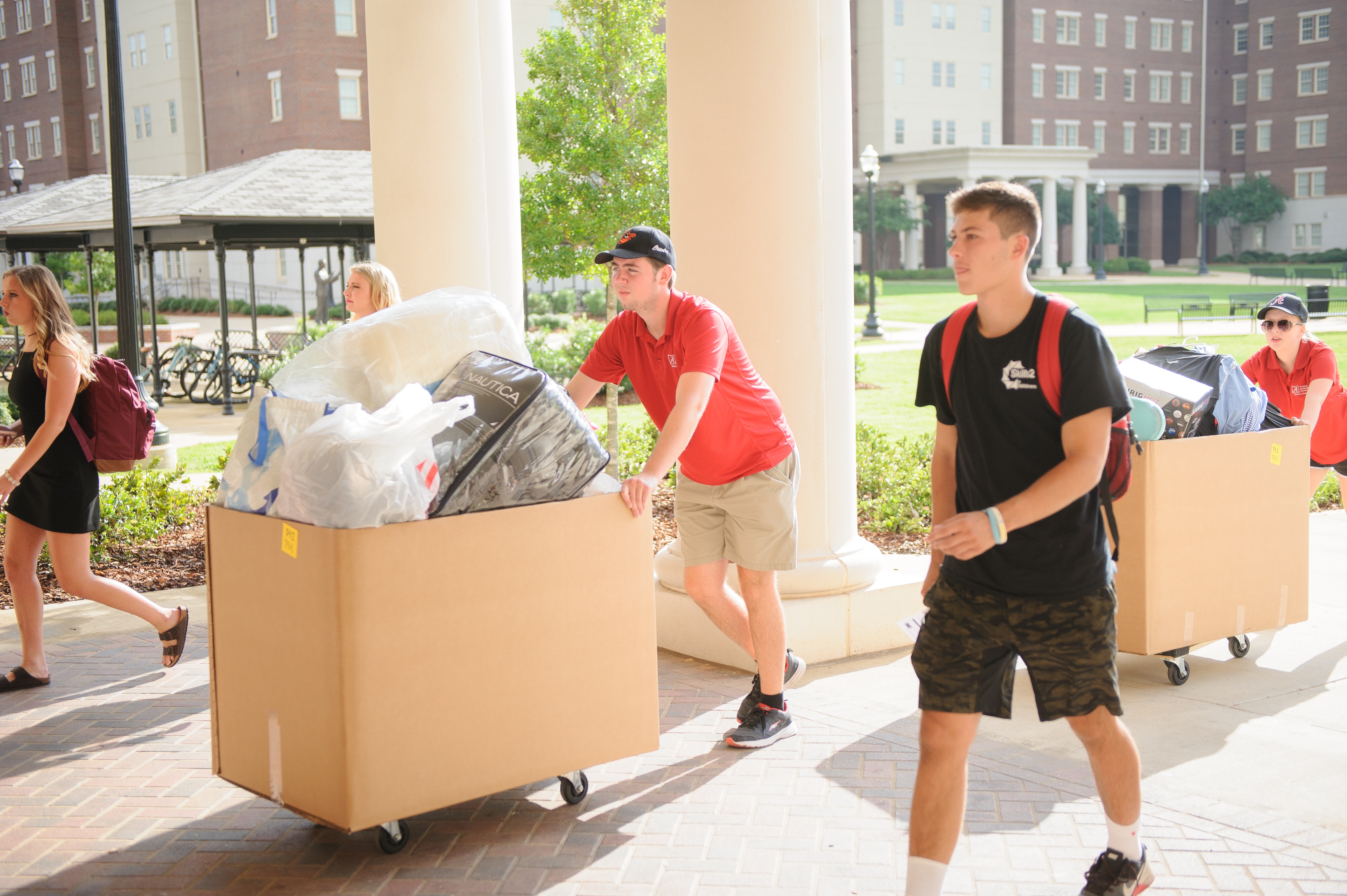 Busy but Successful: Move-in Day 2017