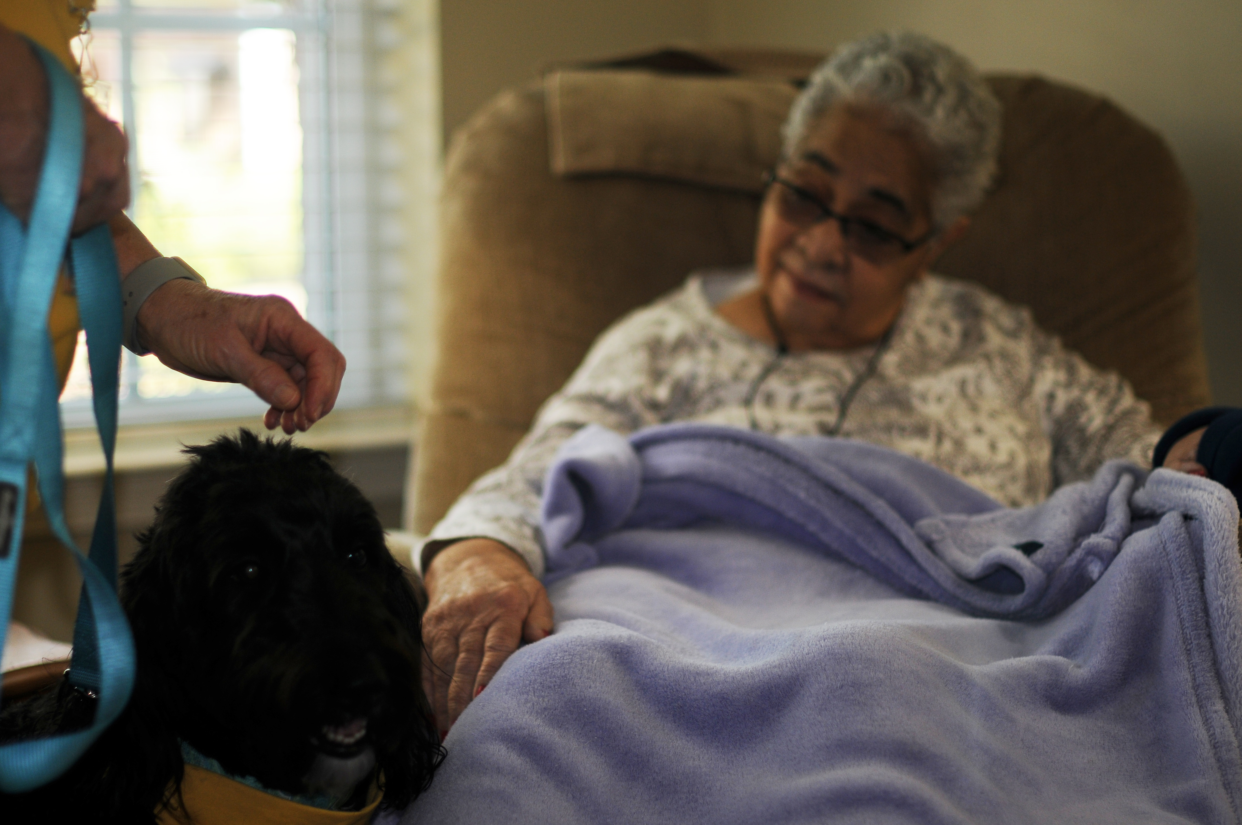 Therapy Dogs Bring Warm Fuzzies to Capstone Village Residents