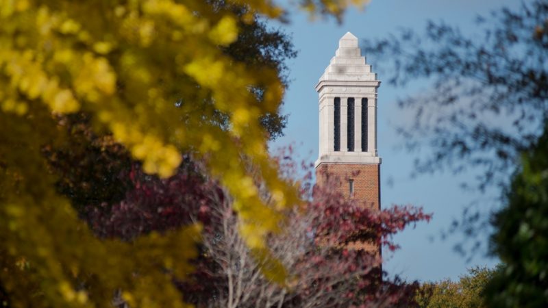 The top of Denny Chimes seen through trees.