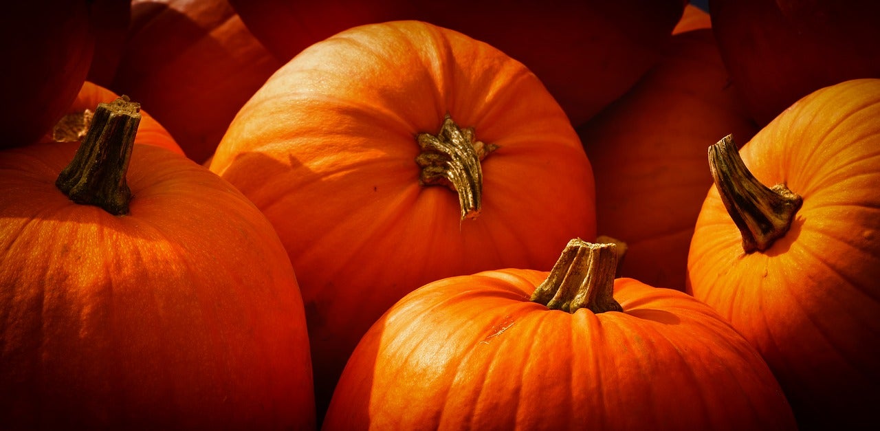 Fall-themed UA Social Media Contest Returns…With a Twist