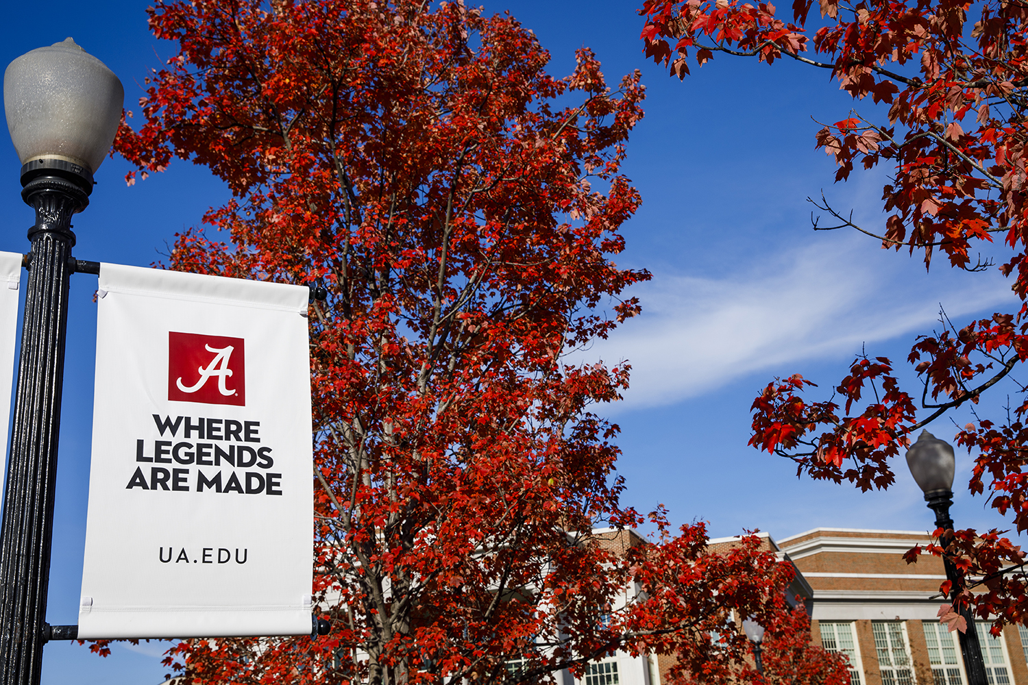 UA Named a Student Fulbright Top Producer