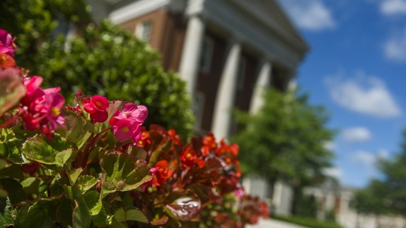 flowers in front of a building
