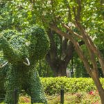 An elephant topiary on campus