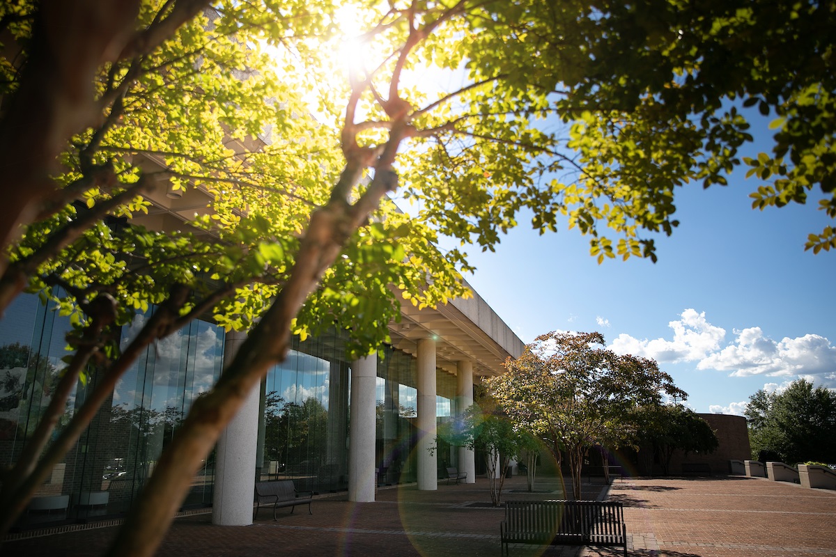 For Fifth Consecutive Year, UA Designated ‘Tree Campus USA’