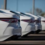 row of white sedans