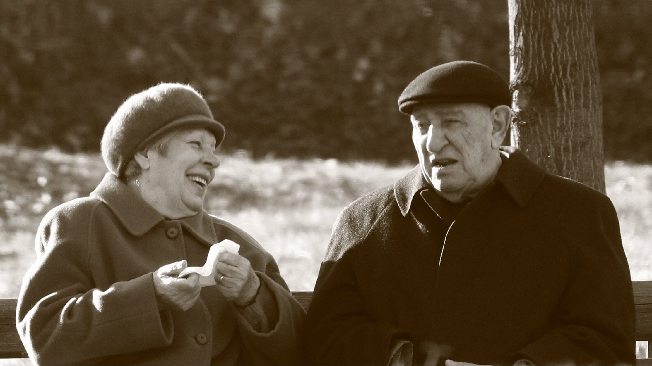 An elderly couple sitting on a park bench