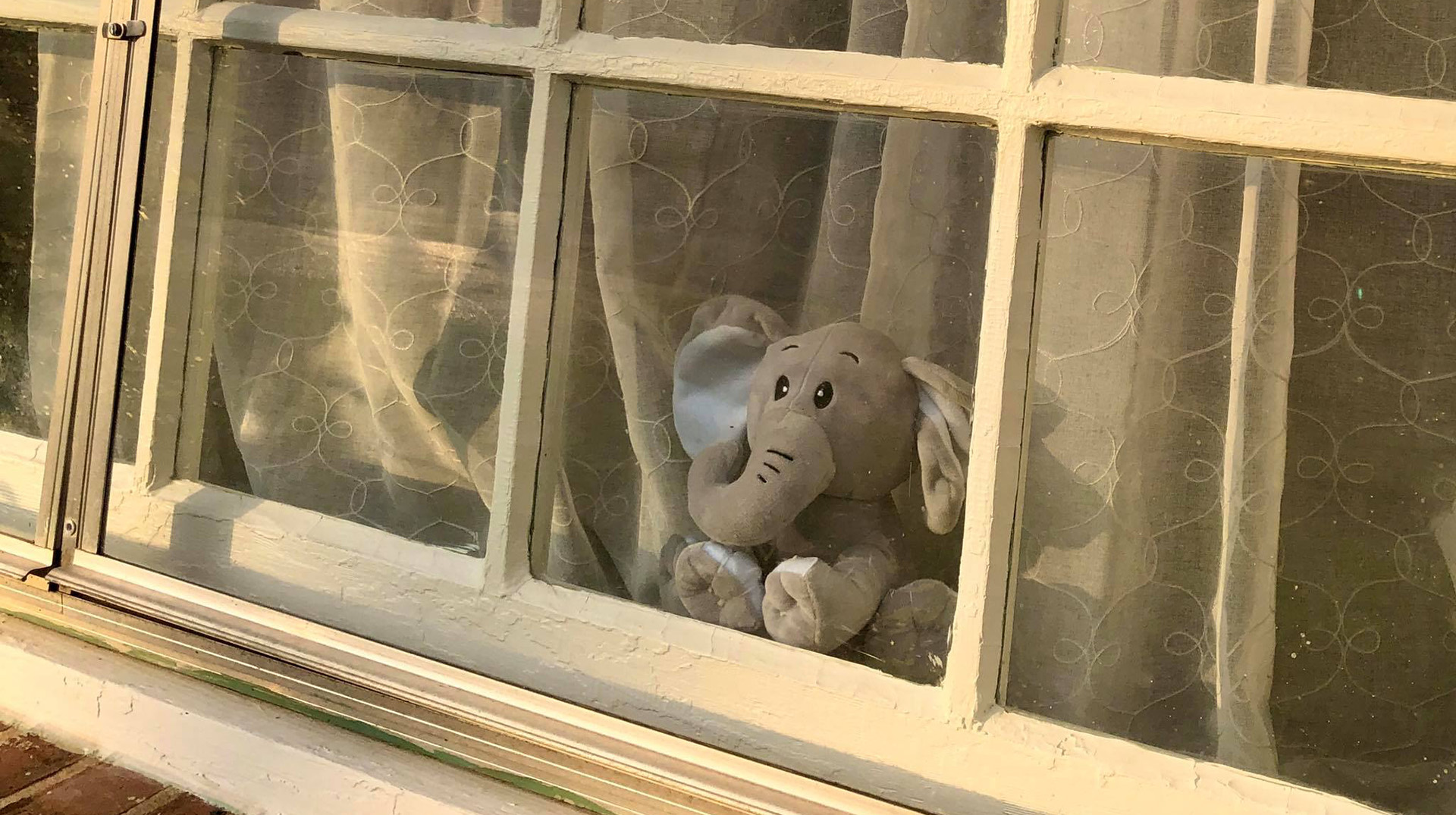 An elephant toy sits in a window sill.