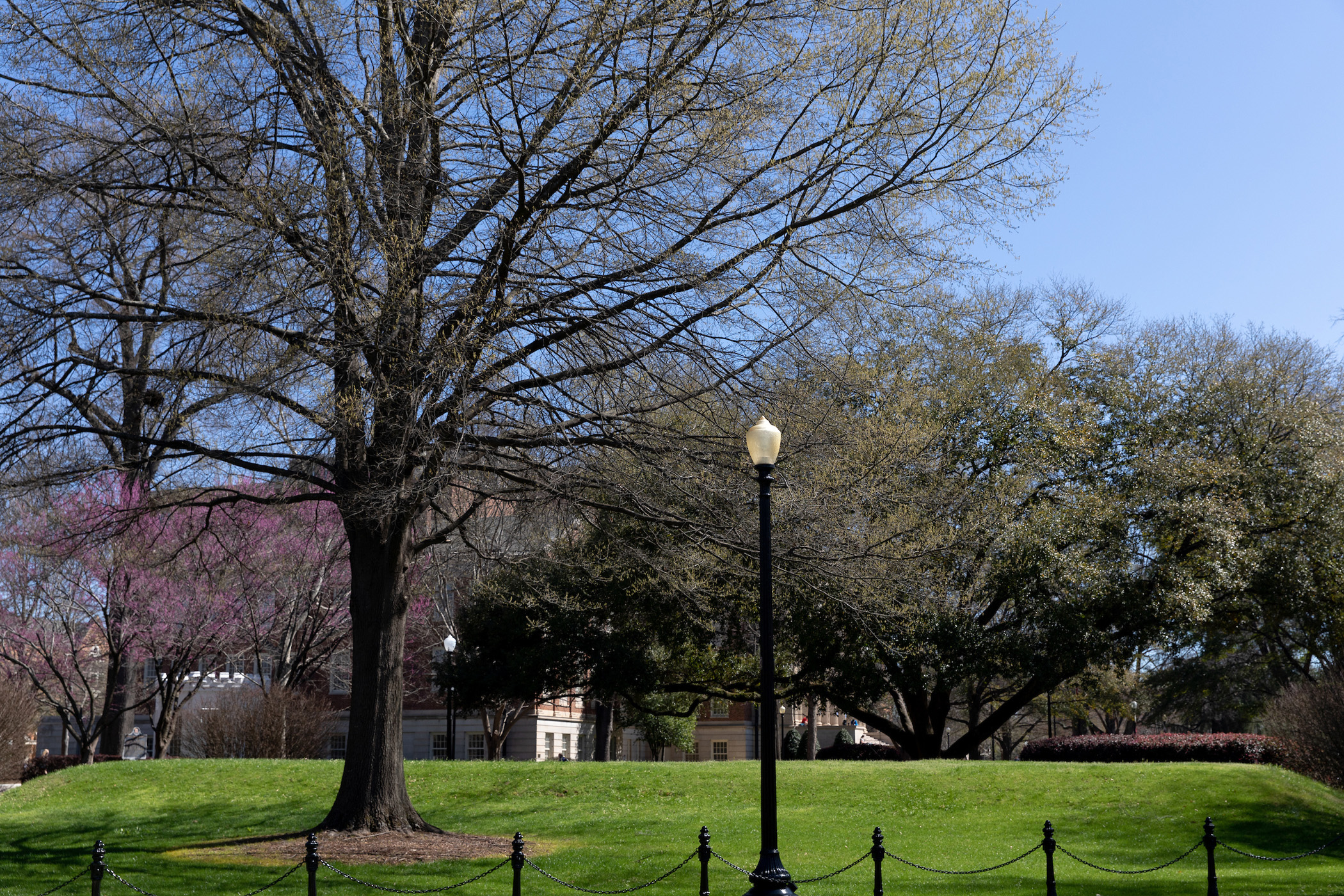 UA to Hold Virtual Tapping on the Mound Ceremony April 10
