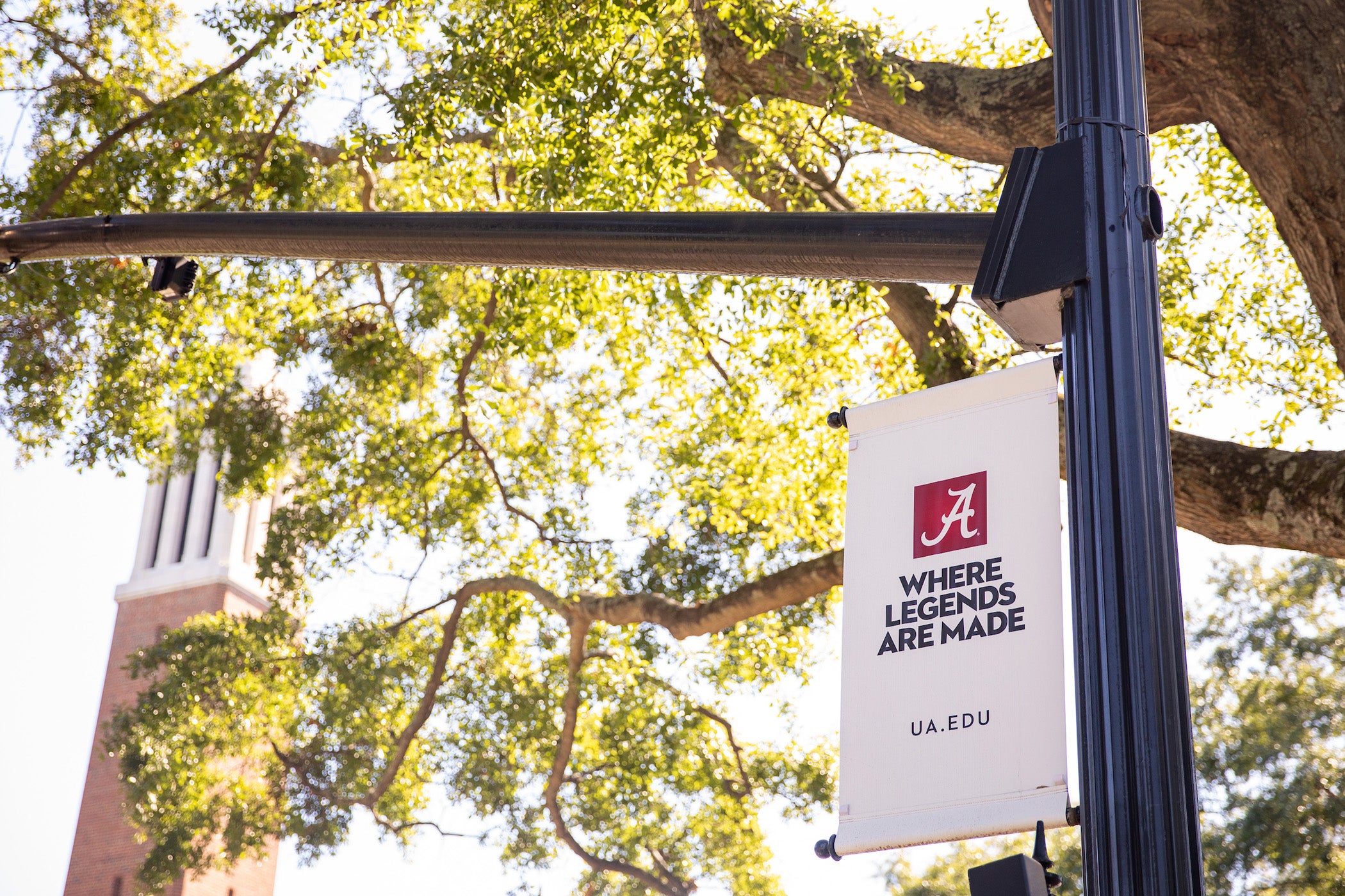 A Where Legends are Made Banner near Denny Chimes on the UA Quad