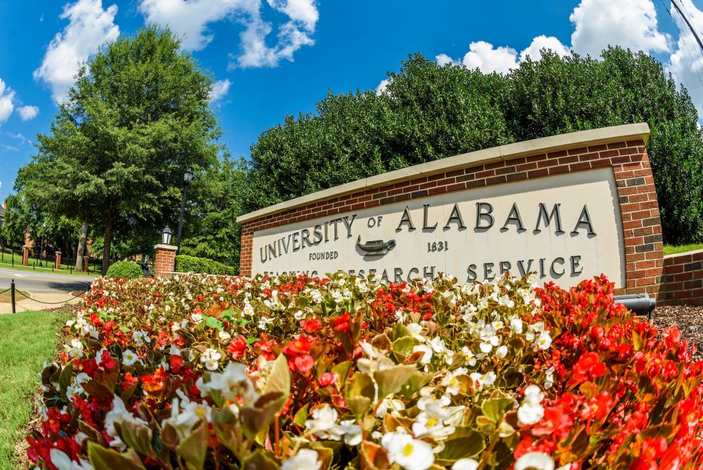 The University of Alabama entrance marker is pictured with flowers in front.