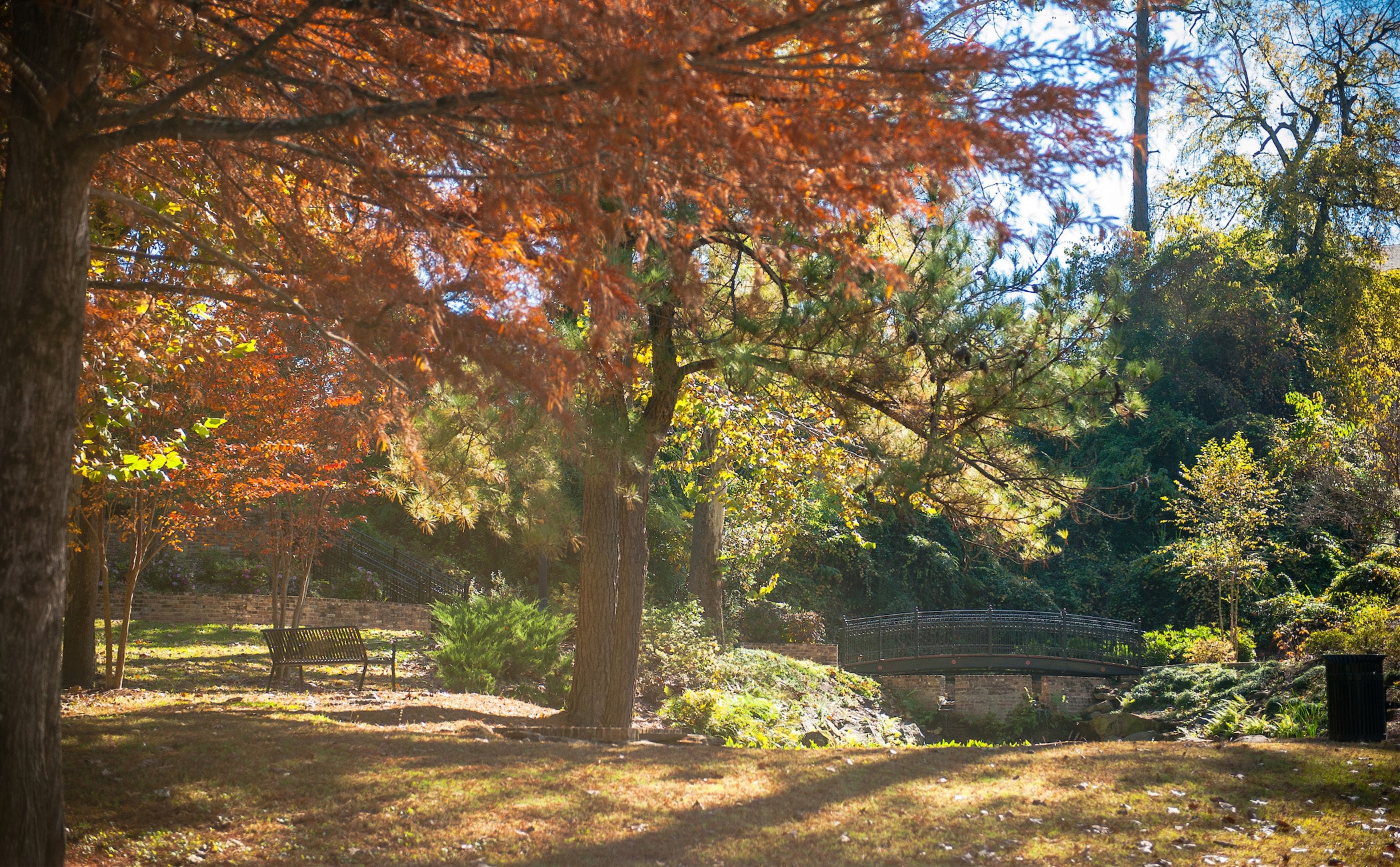 Trees and lake in the autumn