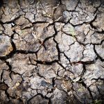 Dry, parched earth