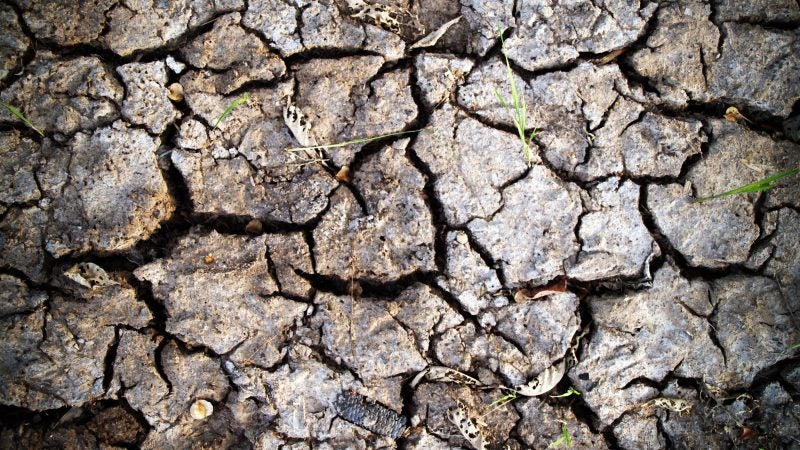 Dry, parched earth
