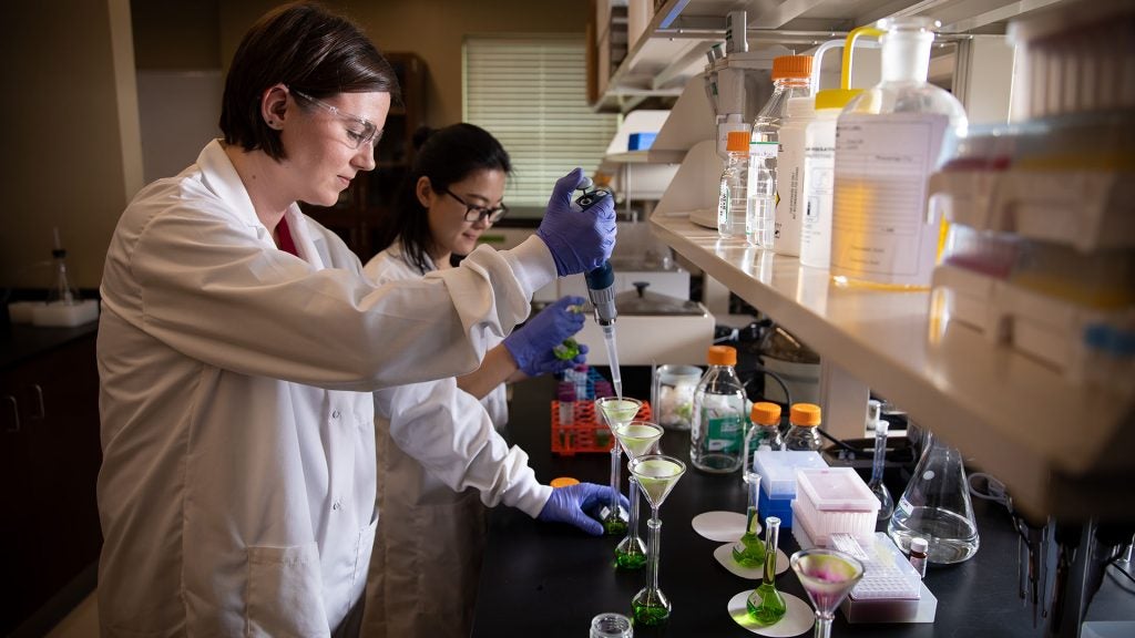 UA Research Continues to Surge - University of Alabama News