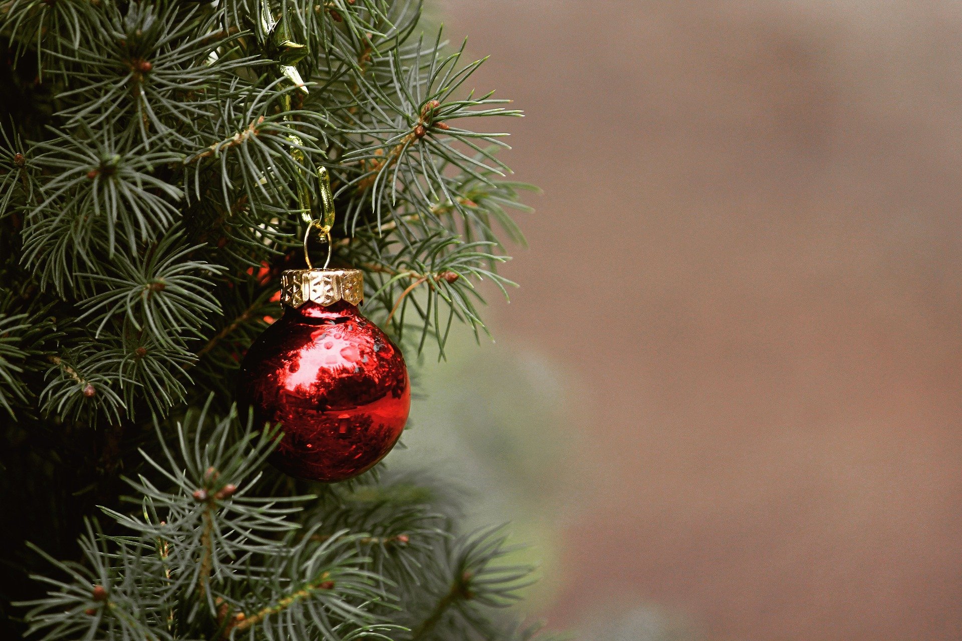 a single red glass ornament hangs on a green Christmas tree
