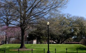 The Mound on the University of Alabama Quad