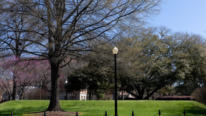 The Mound on the University of Alabama Quad