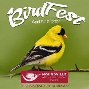 The Birdfest poster showing a yellow bird on a branch.