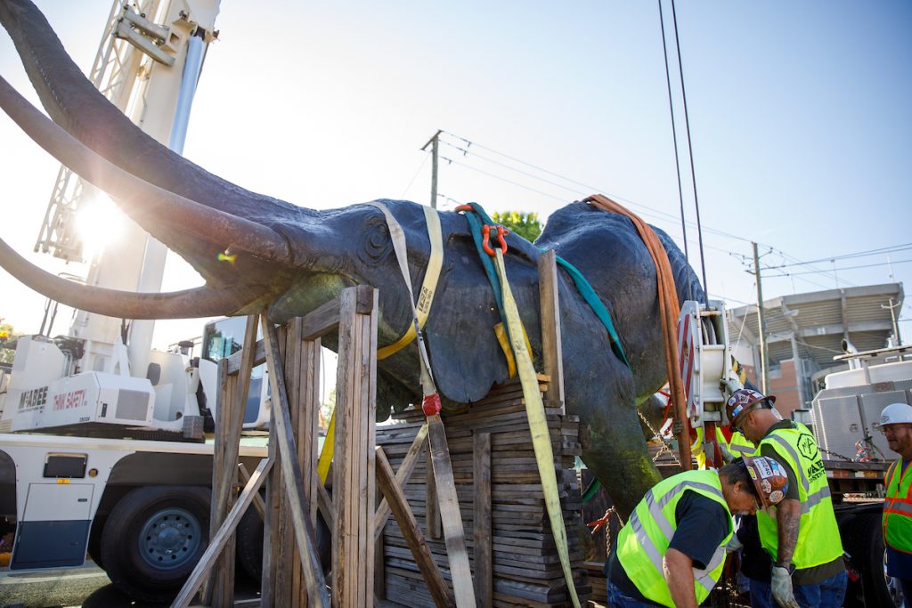 the bronze elephant statue strapped tightly to a flatbed truck