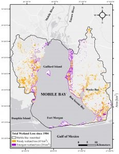 A map of Mobile Bay with marsh loss indicated.