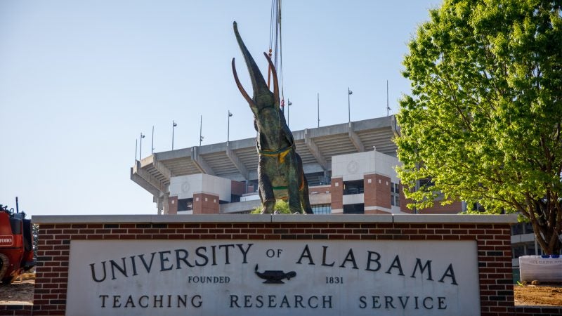 The Tuska statue being placed on its pedestal outside Bryant-Denny Stadium