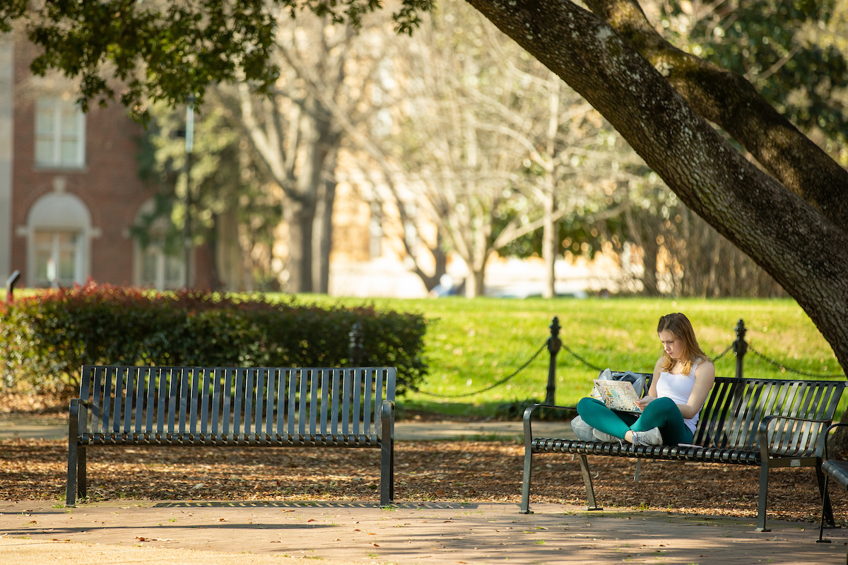 Girl reading on a bench with a tree overhead.