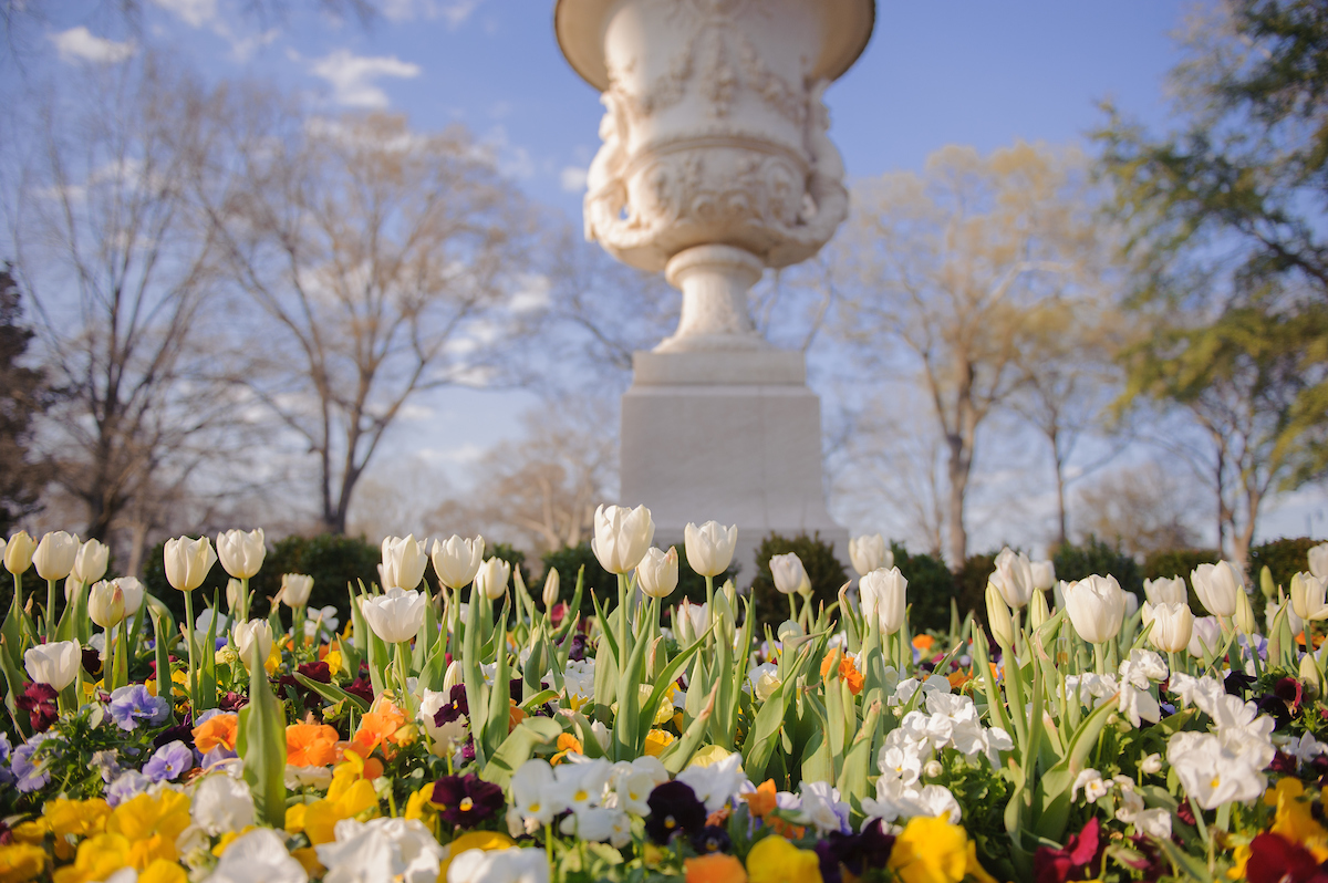 Colorful tulips are shown in front of a statue of a chalice.
