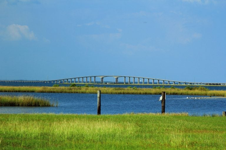 Barrier Island Marine Ecosystem Altered by Storm Events - University of ...