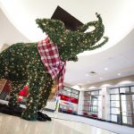 elephant topiary decorated with white lights and mortarboard