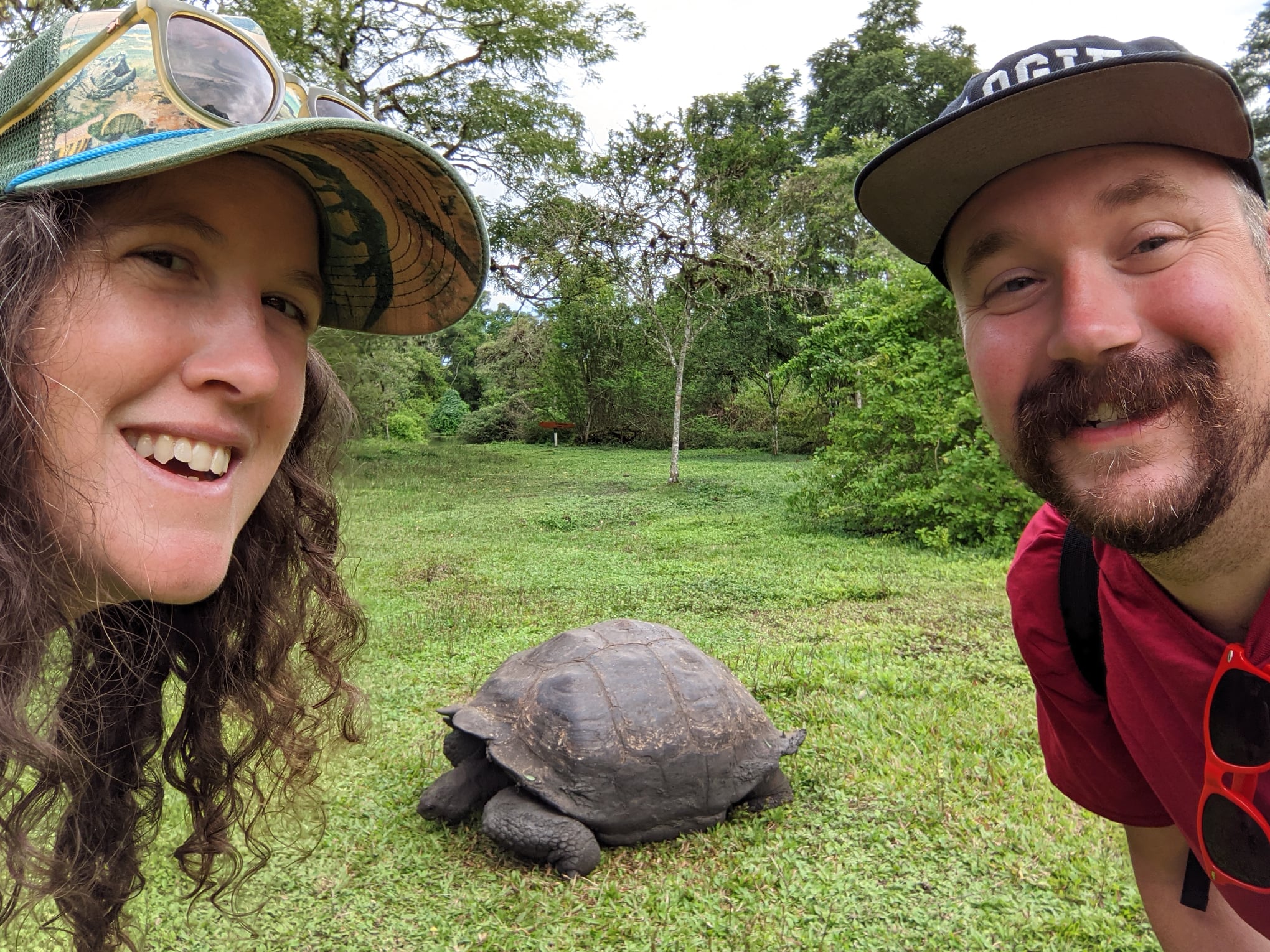 Two people pose for a photo in front of a giant tortoise.