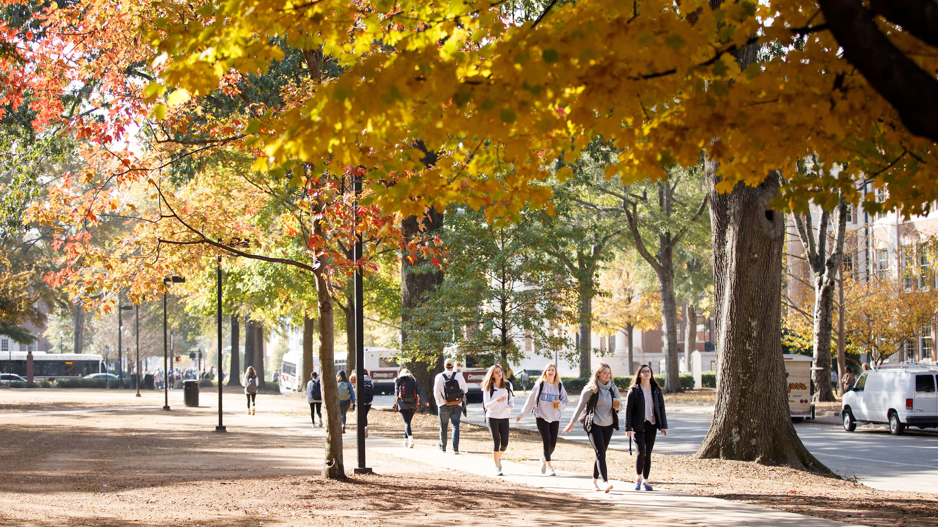photograph of students walking along the Quad pathway in autumn