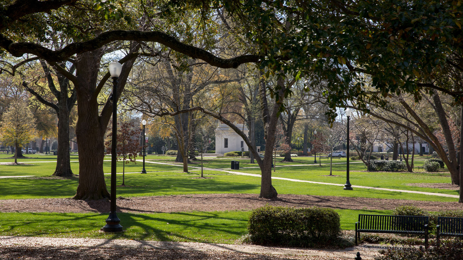 photograph of the Quad looking peaceful and empty of people through the trees