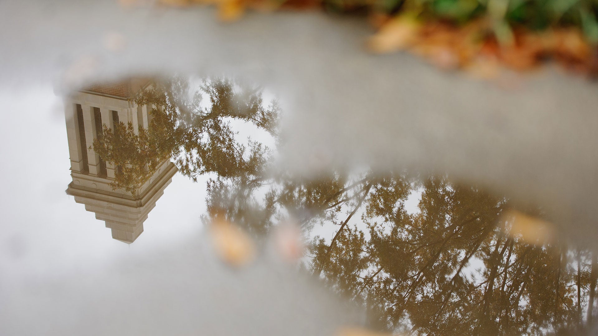 photograph of the reflection of the top of Denny Chimes in a rain puddle
