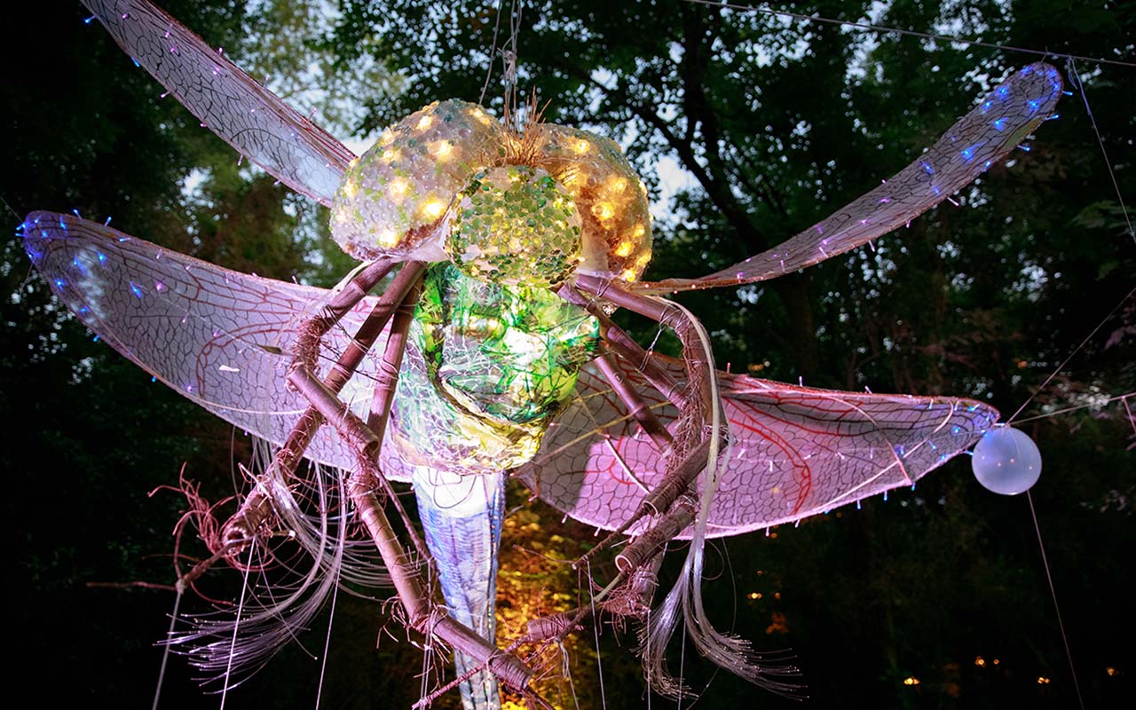 Glowing lantern shaped like dragonfly