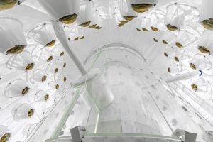The inside of dark matter detector.