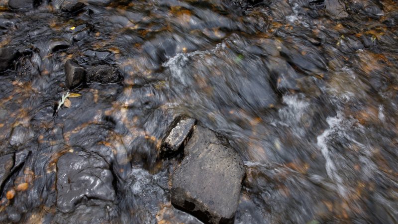 Water travels over stones in a creek.