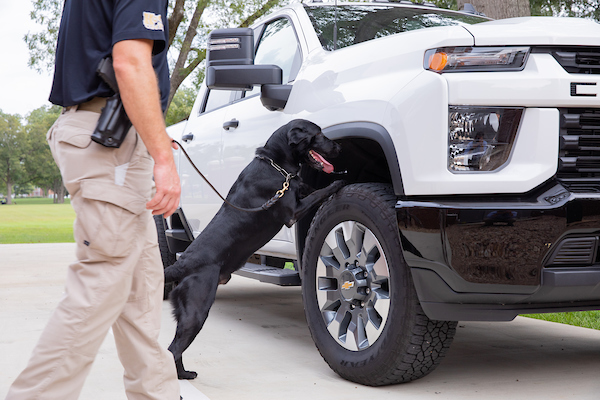 Police dog sniffing around the tire of a truck.