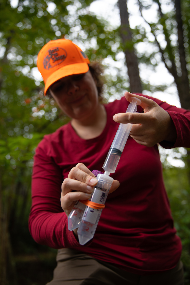 A researcher uses syringe to force water through a filter in a vial.