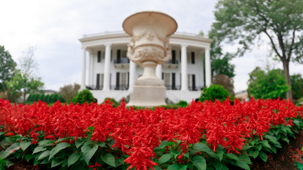 rows of bright red flowers in front of the president's mansion
