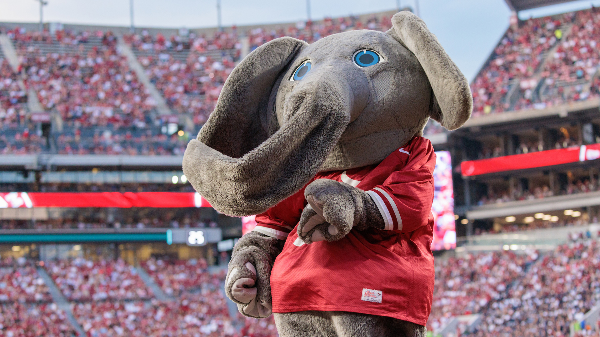 The story behind Alabama's elephant mascot