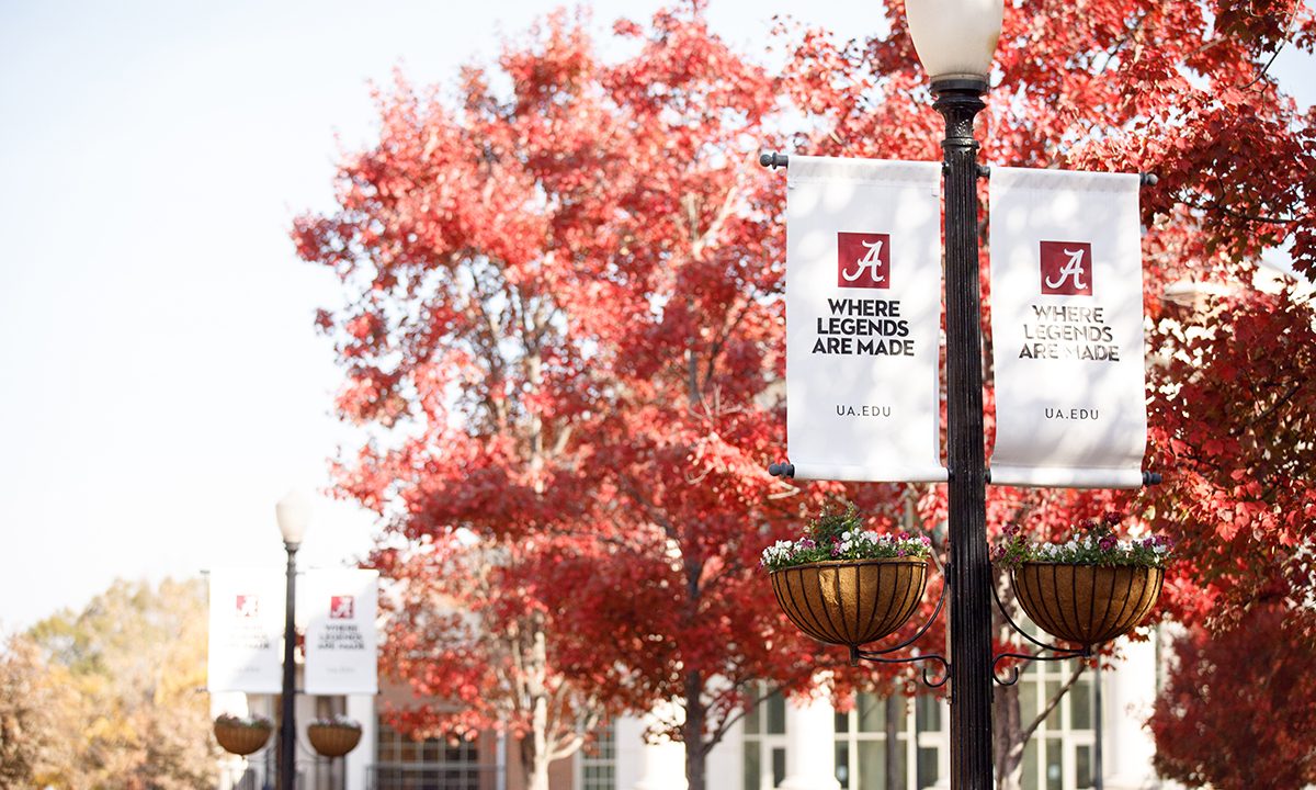 A photo of the University of Alabama foliage and signage.