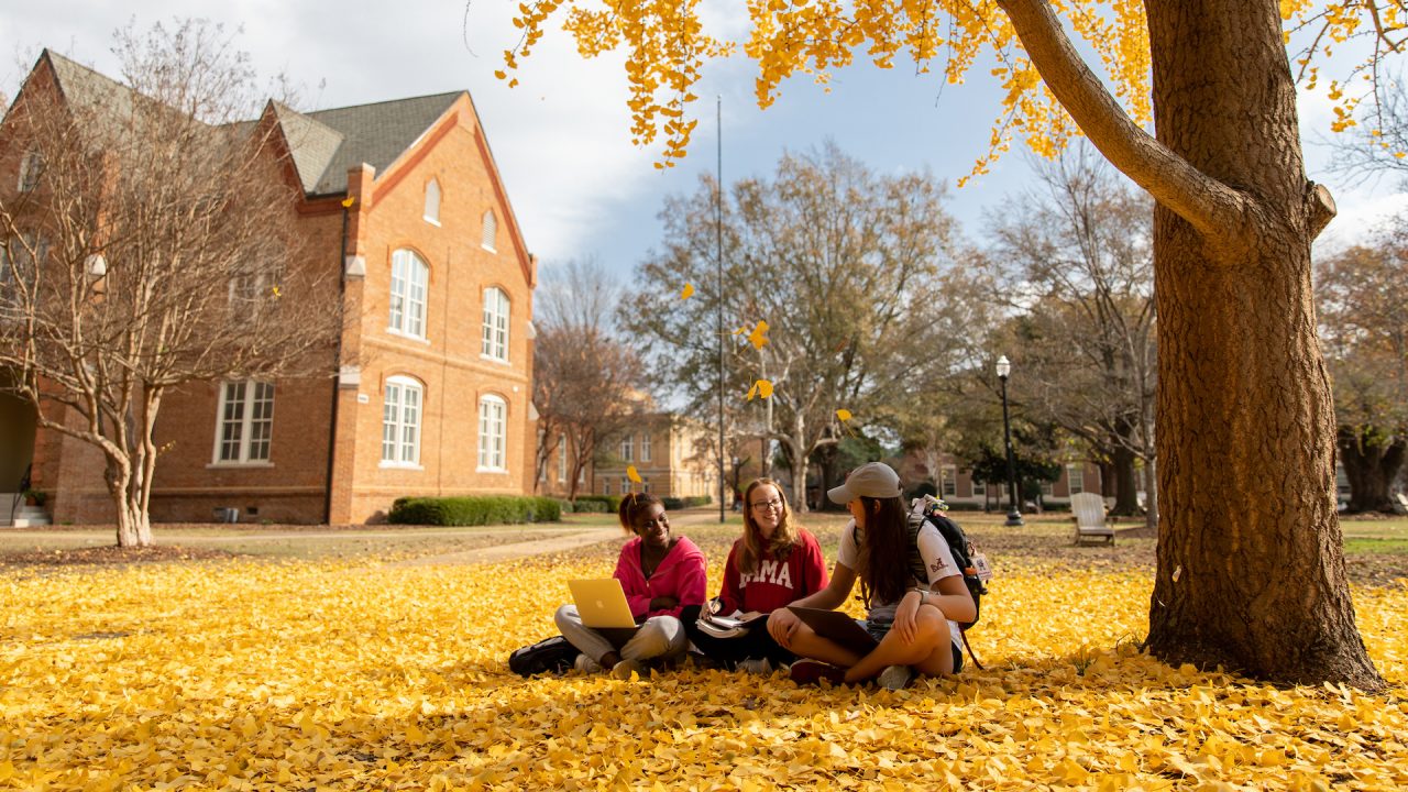 three students sit on the ground covered in yellow leaves studying