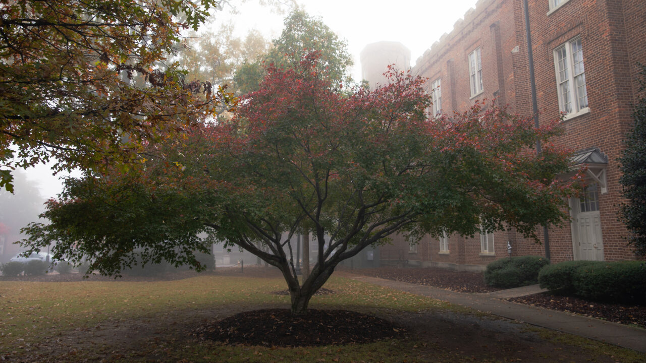 foggy autumn morning on campus
