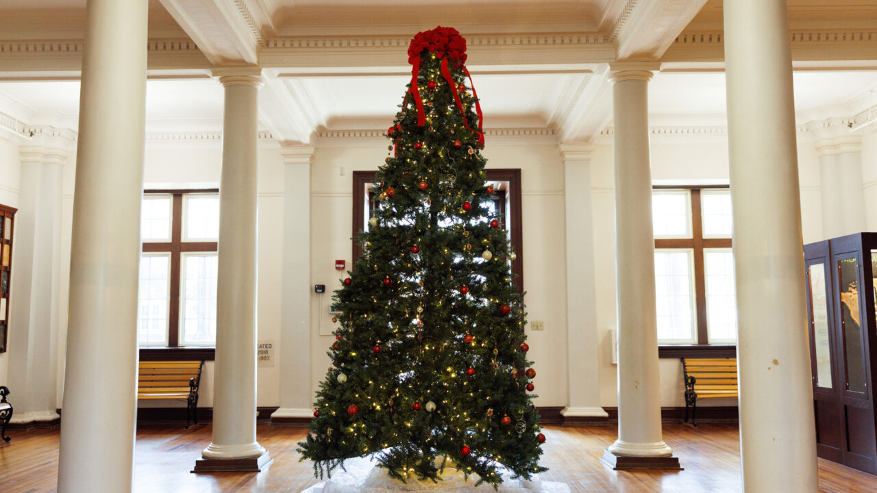 a holiday tree in Smith Hall